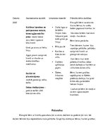 Prakses atskaite 'Prakse pirmsskolā', 19.