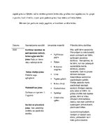 Prakses atskaite 'Prakse pirmsskolā', 20.