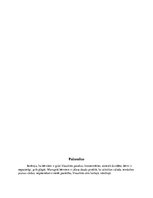 Prakses atskaite 'Prakse pirmsskolā', 25.