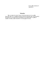 Prakses atskaite 'Prakse pirmsskolā', 27.