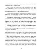 Paraugs 'Transporta procesu datormodelēšana. Ostas piestātnes', 6.