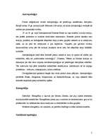 Konspekts 'Kultūra antropoloģijas skatījumā', 2.