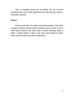 Konspekts 'Kultūra antropoloģijas skatījumā', 4.