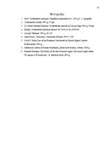 Referāts 'Cilvēktiesības', 20.