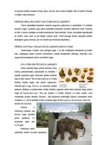 Referāts 'Klimata mainība un lielo zīdītāju izmiršanas problēma pleistocēnā', 4.