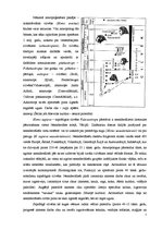 Referāts 'Klimata mainība un lielo zīdītāju izmiršanas problēma pleistocēnā', 7.