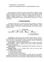 Konspekts 'Budžeta plānošana', 2.