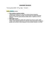 Konspekts 'Budžeta plānošana', 4.