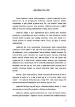 Biznesa plāns 'Sporta preču veikala biznesa plāns', 2.