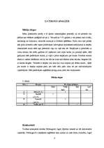 Biznesa plāns 'Sporta preču veikala biznesa plāns', 6.