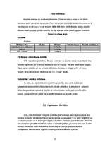 Biznesa plāns 'Sporta preču veikala biznesa plāns', 9.