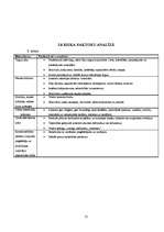 Biznesa plāns 'Sporta preču veikala biznesa plāns', 13.