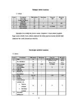 Biznesa plāns 'Sporta preču veikala biznesa plāns', 15.