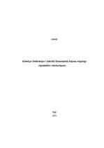 Referāts 'Krievijas Federācijas centrālā ekonomiskā rajona vispārīgs raksturojums', 1.