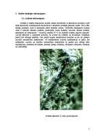 Referāts 'Azbests un azbesta atkritumu poligons', 2.