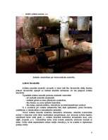 Referāts 'Azbests un azbesta atkritumu poligons', 4.