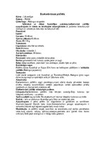 Konspekts 'Lēļveidīgie', 4.