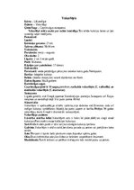 Konspekts 'Lēļveidīgie', 8.