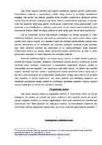 Paraugs 'M.Portera pieci spēki ceļu būves nozarē', 4.