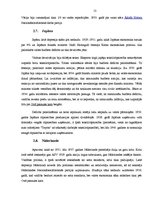 Referāts 'Ekonomiskās krīzes', 13.