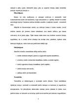 Referāts 'Kredītpolitika', 5.