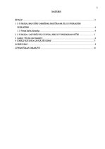 Referāts 'J.Poruka filosofiskie uzskati', 2.