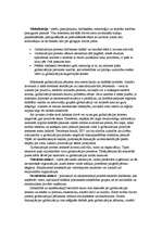 Konspekts 'Globalizācija', 2.