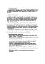 Konspekts 'Globalizācija', 4.