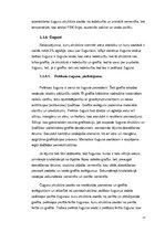 Referāts 'Fizikālā materiālzinība', 17.