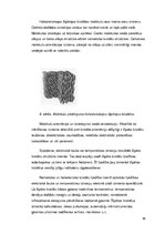 Referāts 'Fizikālā materiālzinība', 64.