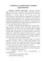 Diplomdarbs 'Uzņēmuma SR konkurētspējas novērtēšana un reklāmas izmantošana tās palielināšanā', 7.