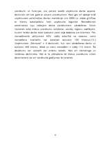 Diplomdarbs 'Uzņēmuma SR konkurētspējas novērtēšana un reklāmas izmantošana tās palielināšanā', 17.