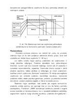 Diplomdarbs 'Uzņēmuma SR konkurētspējas novērtēšana un reklāmas izmantošana tās palielināšanā', 38.