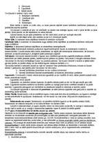 Konspekts 'Tiesību pamati', 14.