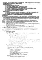 Konspekts 'Tiesību pamati', 18.