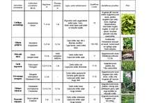 Konspekts 'Daiļdārzkopība', 2.