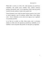 Eseja 'Primitīvisms nomaina modernismu', 2.