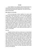 Eseja 'Par ētiku. L.Vitgenšteins', 1.