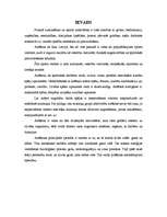 Konspekts 'Airēšana', 2.