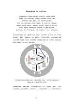 Referāts 'Parapsiholoģija', 6.