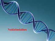 Prezentācija 'Nukleīnskābes', 1.