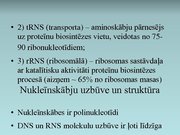 Prezentācija 'Nukleīnskābes', 5.