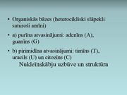 Prezentācija 'Nukleīnskābes', 7.