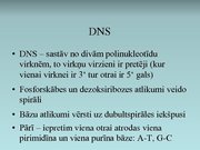 Prezentācija 'Nukleīnskābes', 9.