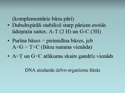 Prezentācija 'Nukleīnskābes', 10.