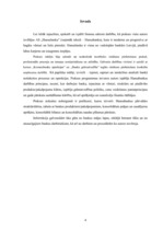 Prakses atskaite 'Prakses atskaite a/s "Hansabanka"', 4.