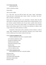 Prakses atskaite 'Prakses atskaite a/s "Hansabanka"', 17.