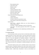 Prakses atskaite 'Prakses atskaite a/s "Hansabanka"', 20.