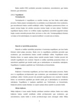 Prakses atskaite 'Prakses atskaite a/s "Hansabanka"', 26.