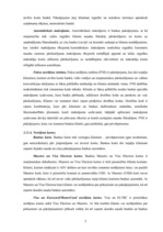 Prakses atskaite 'Prakses atskaite a/s "Hansabanka"', 28.